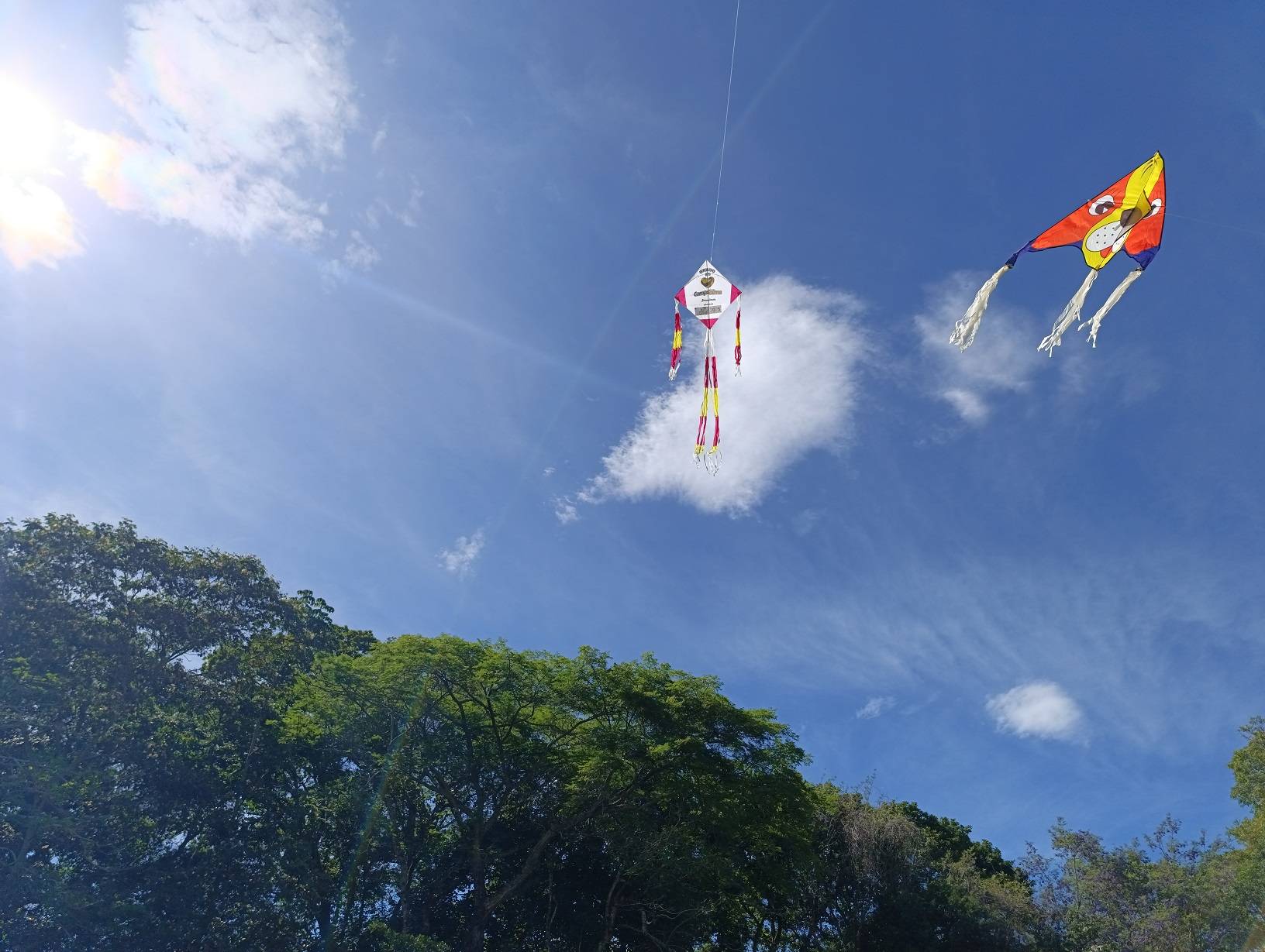Color y alegría en el Festival de Cometas del Colegio Comfatolima